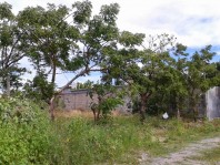 Vendo terreno coyol sur 350 m2 $400 mil en Veracruz, Veracruz de Ignacio de la Llave