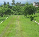 terreno de 200 metros a solo 45 minutos de xochimi en totolapan, Morelos