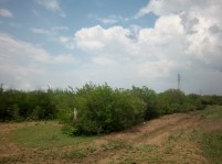 Terreno cerca de Carretera Nacional, 3,850 m2 en Linares, Nuevo Leon