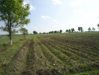 Rancho en venta Romita Gto. en Romita, Guanajuato