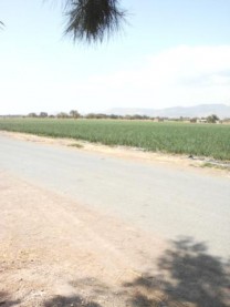 Rancho en venta Abasolo Gto. en Abasolo, Guanajuato
