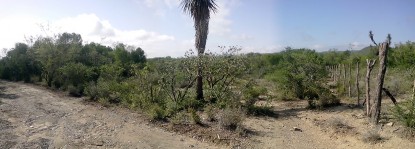 Terreno cerca de presa a solo 40,000 en Linares, Nuevo León