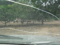 Rancho Los Criaderos SE VENDE con 400 hectÃ¡reas en Zapopan, Jalisco