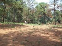 terreno morelos 641m2 muy bonito en mexico, Morelos