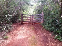 terreno a 26 k de oxcutzcab de 1557 hectareas en merida, Yucatan