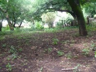 Bonito terreno en Tepoztlan en Tepoztlan, Morelos