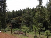 Terreno en sierra de Tapalpa A 500 m de carretera en Tapalpa, Jalisco