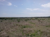 10 has de tierra de cultivo con pozo y luz cerca d en Linares, Nuevo León