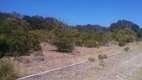 Terreno en venta en Jilotepec en Jilotepec, Estado de Mexico