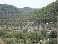Terreno en venta en Montemorelos en Montemorelos, Nuevo Leon