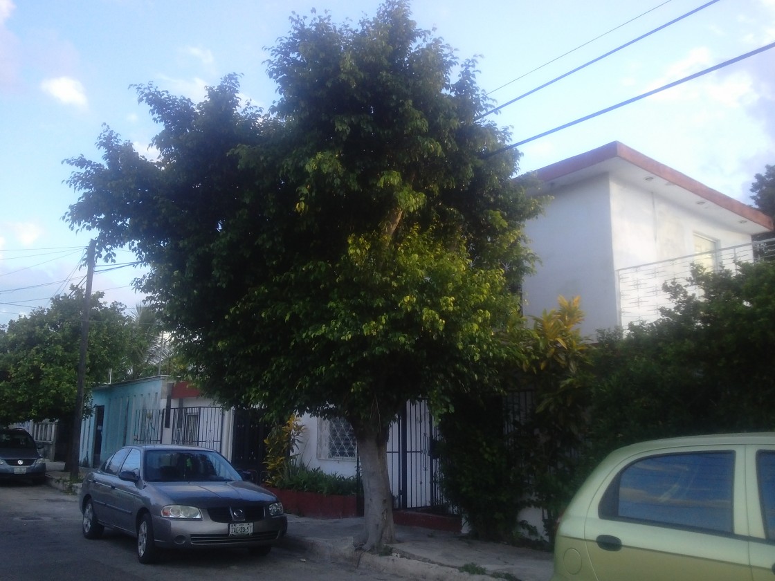 Casa merida remato en Mérida, Yucatán 