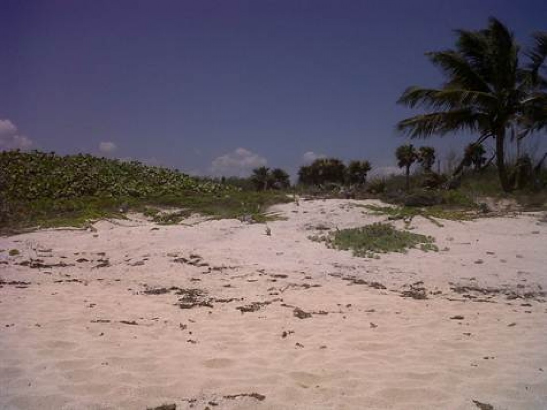 Espectacular lote frente al mar en Jade Bay Akumal en Solidaridad, Quintana Roo 